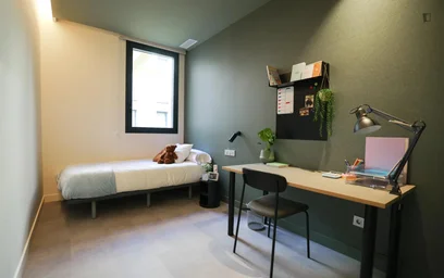 Prywatny pokój w rezydencji Carrer de la Vall d'Uixó, obraz 30 41