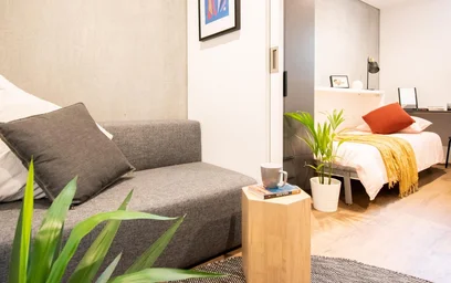 Studio in residence at 81/85 Barry St, Carlton VIC 3053, Australia, image 4 of 22