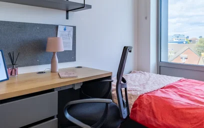 Stanza privata in residence in 78 Rolls Rd, London SE1 5DU, United Kingdom, immagine 24 di 33