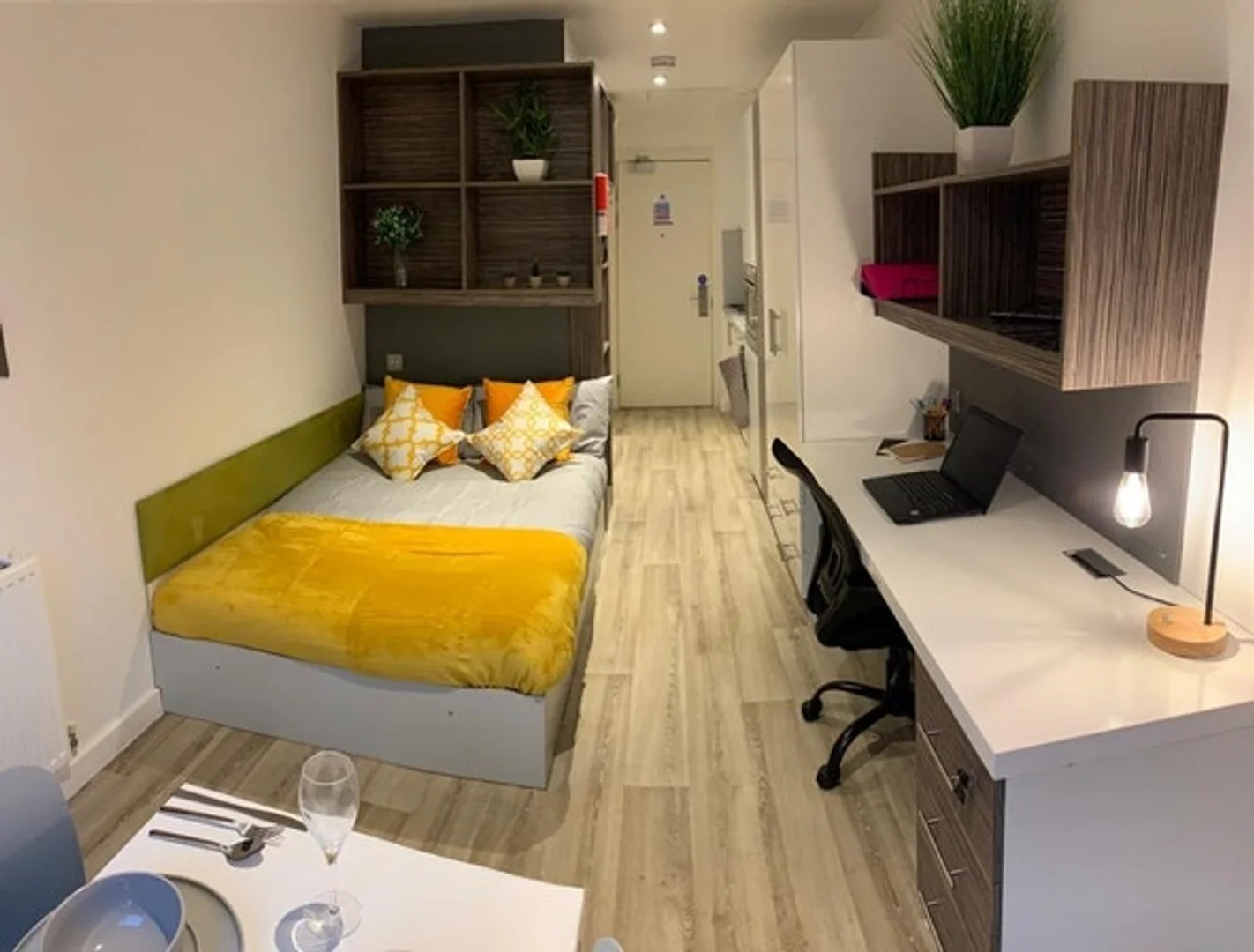 Estudio compacto ideal para estudiantes en