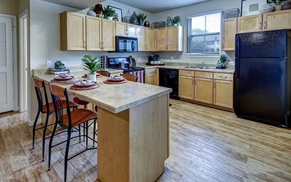 Całe miejsce w rezydencji 305 Marion Pugh Dr, College Station, TX 77840, USA, obraz 21 26