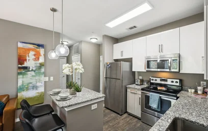 Apartamento inteiro em residência em 1009 W 26th St, Austin, TX 78705, United States, imagem 5 de 44