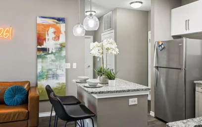 Apartamento inteiro em residência em 1009 W 26th St, Austin, TX 78705, United States, imagem 9 de 44