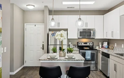 Apartamento inteiro em residência em 1009 W 26th St, Austin, TX 78705, United States, imagem 4 de 44
