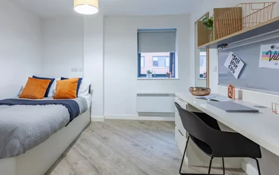 Great studio apartment in {area}