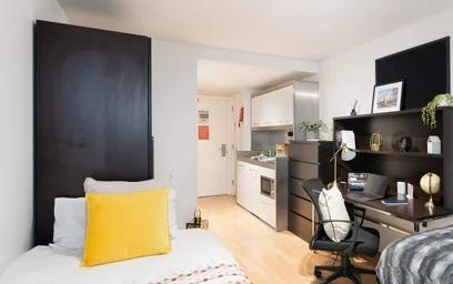 Great studio apartment in {area}