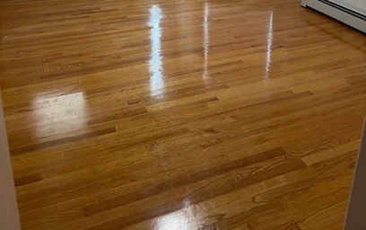 Apartamento entero totalmente amueblado  en {area}