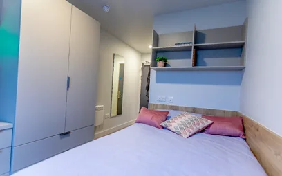 Great studio apartment in {area}