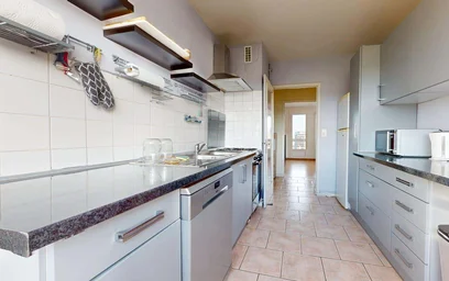Stanza privata in 48 Av. des Paulines, 63000 Clermont-Ferrand, France, immagine 16 di 21