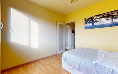 Stanza privata in 48 Av. des Paulines, 63000 Clermont-Ferrand, France, immagine 3 di 21
