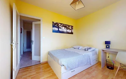 Stanza privata in 48 Av. des Paulines, 63000 Clermont-Ferrand, France, immagine 4 di 21