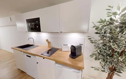 私人房间 在 15 Imp. Guillet, 69100 Villeurbanne, France, 30的图像12