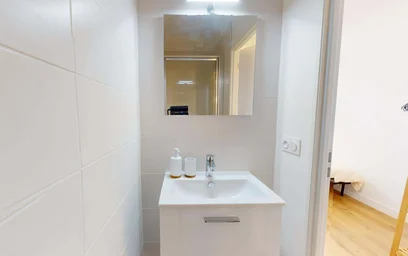 私人房间 在 15 Imp. Guillet, 69100 Villeurbanne, France, 30的图像30