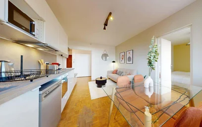 Habitación privada en 429 Cr Émile-Zola, 69100 Villeurbanne, France, imagen 8 de 15