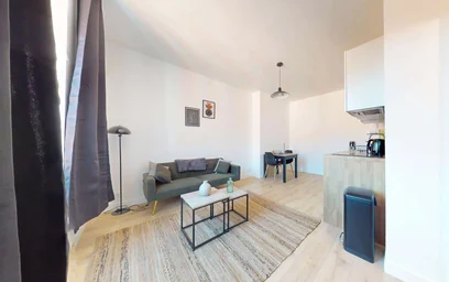 Entire apartment at 19 Rue Persoz, 69100 Villeurbanne, France, image 1 of 13