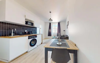Entire apartment at 19 Rue Persoz, 69100 Villeurbanne, France, image 2 of 13