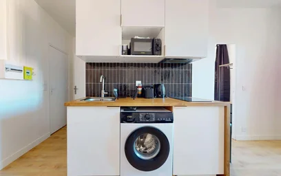 Entire apartment at 19 Rue Persoz, 69100 Villeurbanne, France, image 3 of 13