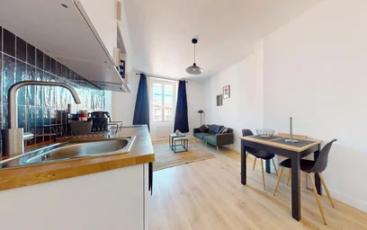 Entire apartment at 19 Rue Persoz, 69100 Villeurbanne, France, image 4 of 13