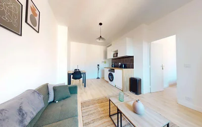 Entire apartment at 19 Rue Persoz, 69100 Villeurbanne, France, image 6 of 13