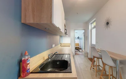 Logement entier à 7 Rue Emile Guichenné, 64000 Pau, France, image 4 de 16