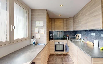 Habitación privada en 35 Ave. Washington, 38100 Grenoble, France, imagen 10 de 18