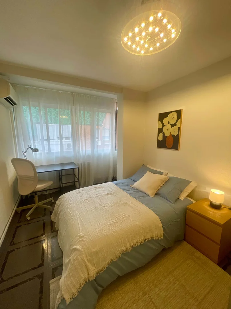 Cozy room for students available in