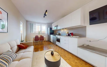 Habitación privada en 429 Cr Émile-Zola, 69100 Villeurbanne, France, imagen 1 de 15