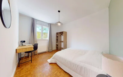 Habitación privada en 429 Cr Émile-Zola, 69100 Villeurbanne, France, imagen 3 de 15