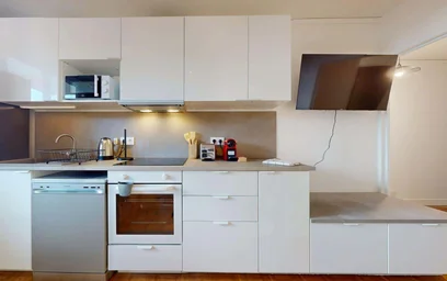 Habitación privada en 429 Cr Émile-Zola, 69100 Villeurbanne, France, imagen 6 de 15