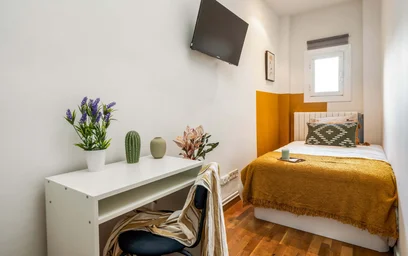 Stanza privata in Carrer d'Hercegovina, 14, Sarrià-Sant Gervasi, 08006 Barcelona, Spagna, immagine 1 di 22