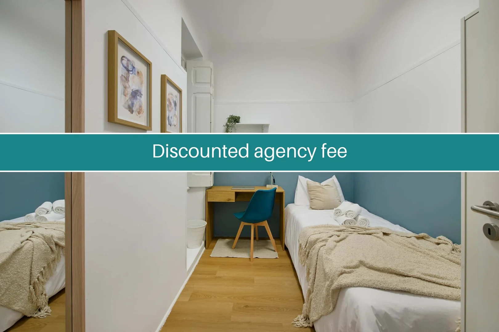 Affordable room for students with ample lighting in