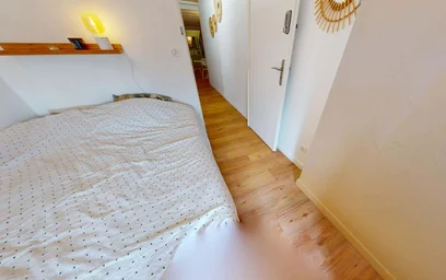 Stanza privata in 83 Rue Paul Bert, 69003 Lyon, France, immagine 1 di 29