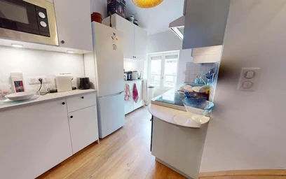 Stanza privata in 83 Rue Paul Bert, 69003 Lyon, France, immagine 15 di 29
