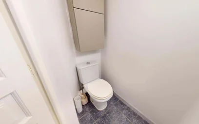 Stanza privata in 83 Rue Paul Bert, 69003 Lyon, France, immagine 27 di 29