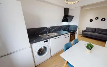 Modern and bright flat in {area}