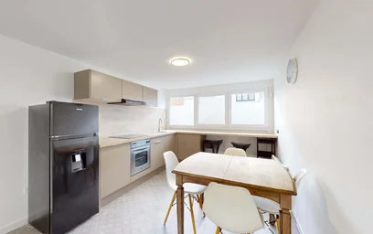 Logement entier à 13 Rue Maurice Ravel, 59650 Villeneuve-d'Ascq, France, image 6 de 21