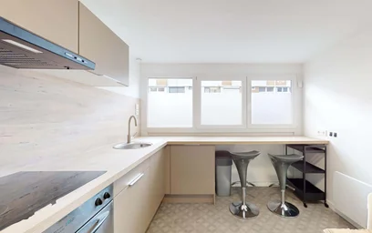 Logement entier à 13 Rue Maurice Ravel, 59650 Villeneuve-d'Ascq, France, image 9 de 21