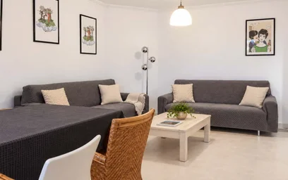Entire fully furnished flat in {area}