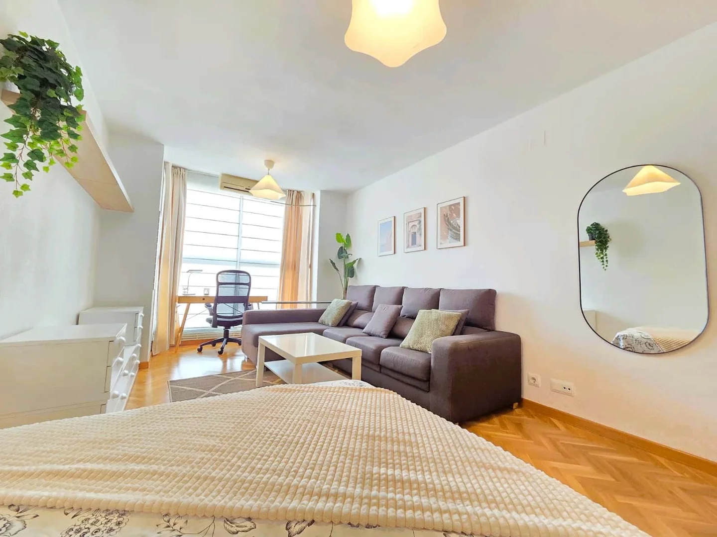 Comfortable and spacious student room in 