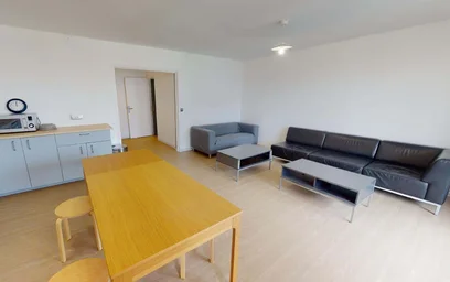 Private room at 1 All. de la Martinique, 44300 Nantes, France, image 11 of 17