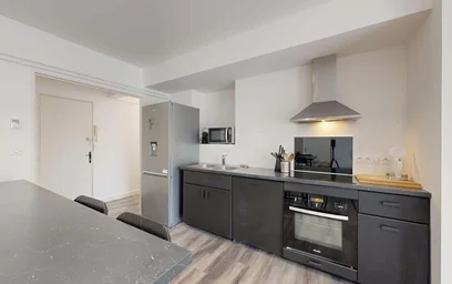 Habitación privada en 1 Bis Av. d'Ossau, 64000 Pau, France, imagen 12 de 19