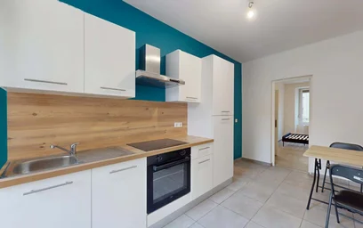 Gesamte Unterkunft in der 44 Rue du Cerf, 68200 Mulhouse, France, bild 1 von 19