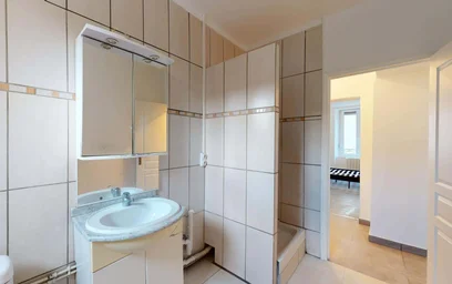 Gesamte Unterkunft in der 44 Rue du Cerf, 68200 Mulhouse, France, bild 15 von 19