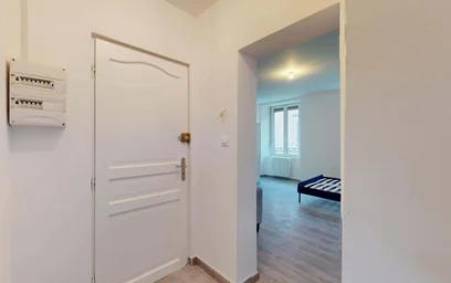 Gesamte Unterkunft in der 44 Rue du Cerf, 68200 Mulhouse, France, bild 18 von 19