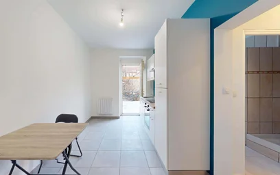 Gesamte Unterkunft in der 44 Rue du Cerf, 68200 Mulhouse, France, bild 3 von 19