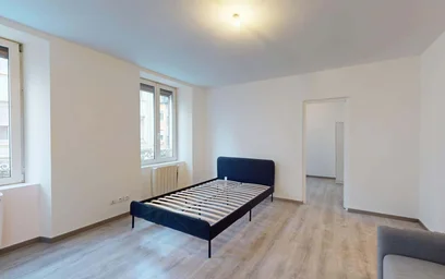 Gesamte Unterkunft in der 44 Rue du Cerf, 68200 Mulhouse, France, bild 4 von 19