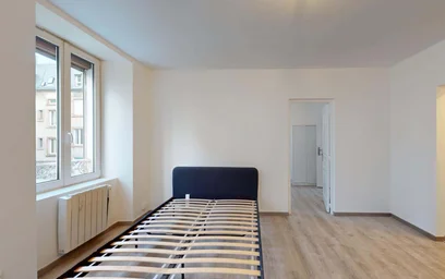Gesamte Unterkunft in der 44 Rue du Cerf, 68200 Mulhouse, France, bild 5 von 19