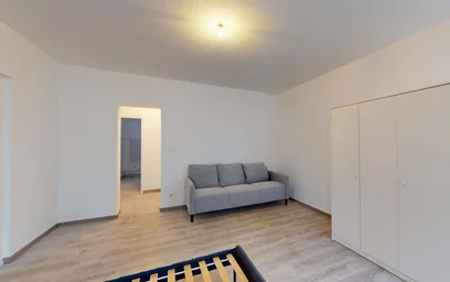 Gesamte Unterkunft in der 44 Rue du Cerf, 68200 Mulhouse, France, bild 6 von 19