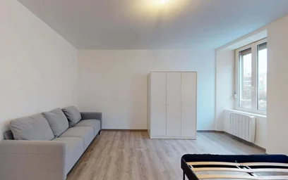 Gesamte Unterkunft in der 44 Rue du Cerf, 68200 Mulhouse, France, bild 7 von 19