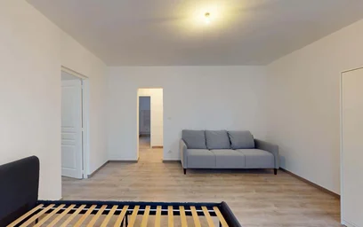 Gesamte Unterkunft in der 44 Rue du Cerf, 68200 Mulhouse, France, bild 8 von 19